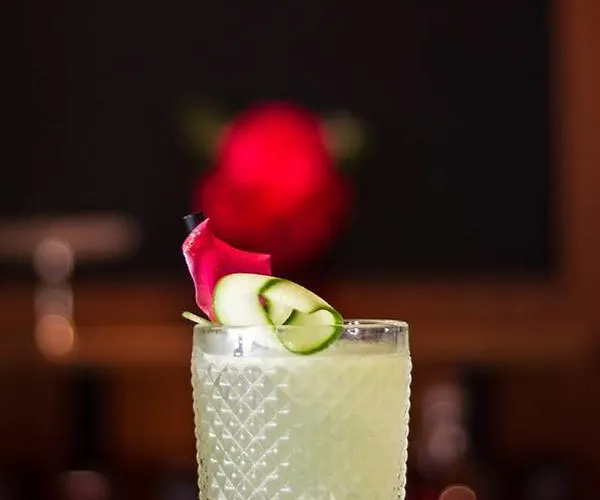 Albatros New Town 3*