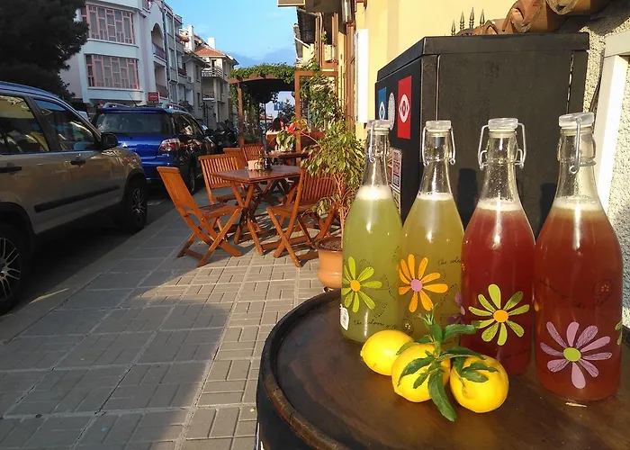 מלון Albatros New Town 3*